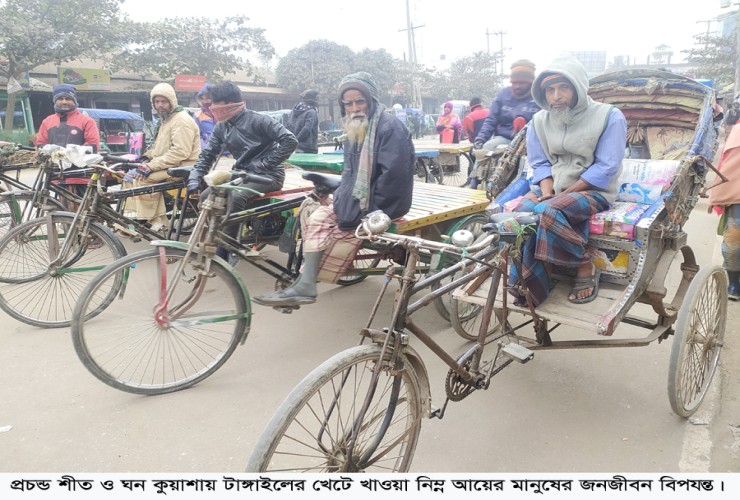 টাঙ্গাইলে হাড় কাঁপানো শীতে জন-জীবন বিপর্যস্ত